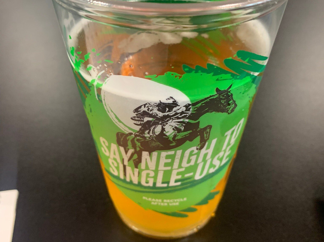 Newcastle Racecourse-纽卡斯尔必去景点