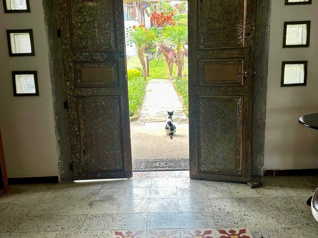 Hacienda La Gaviota-Chinchina必去景点