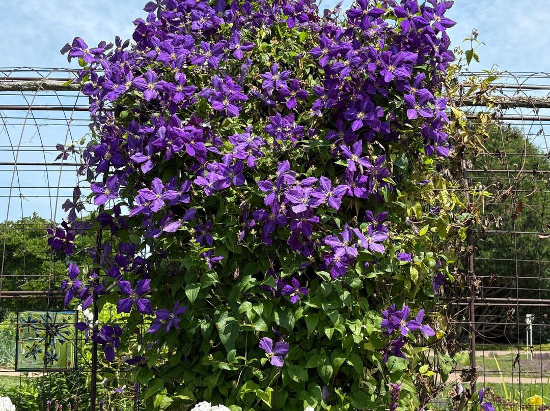 The Garden Door-斯特金贝必去景点