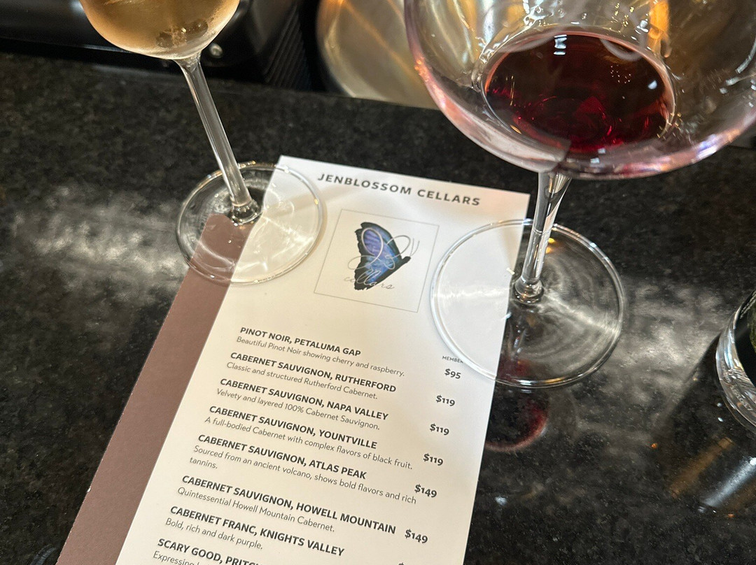 Grape Creek Vineyards on Main-弗雷德里克斯堡必去景点