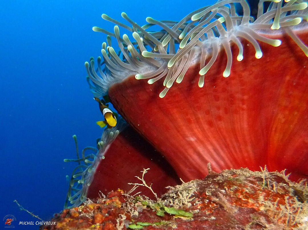 Exploration Sous-Marine-弗力克昂弗雷克必去景点