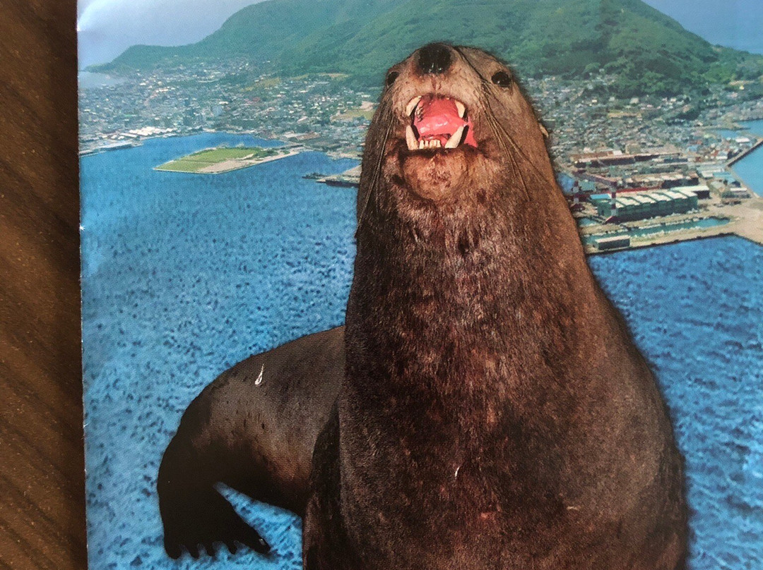 Hakodate City Northern Pacific Fishery's Document Museum-函馆市必去景点