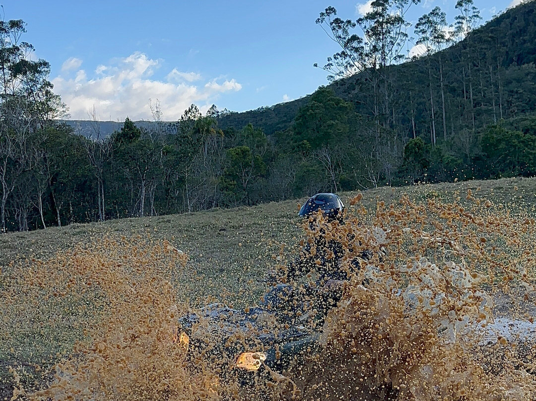 Graxaim do Mato-Praia Grande必去景点