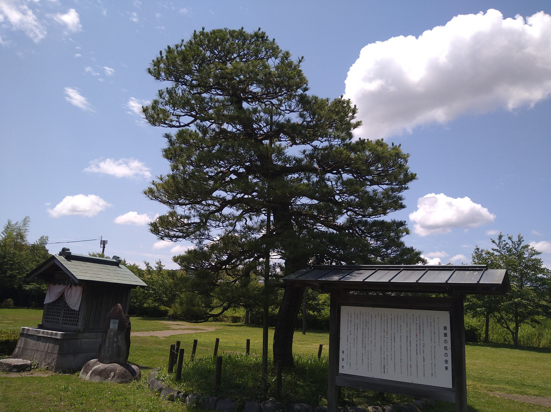 Asagao no Matsu Park-岛田市必去景点