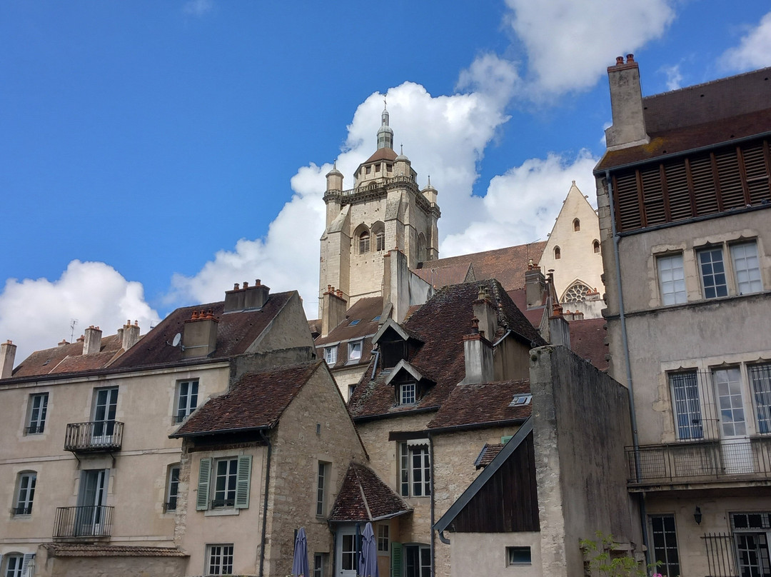 Collégiale Notre-Dame de Dole-多勒必去景点