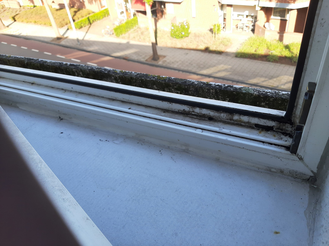 金色郁金香酒店主图