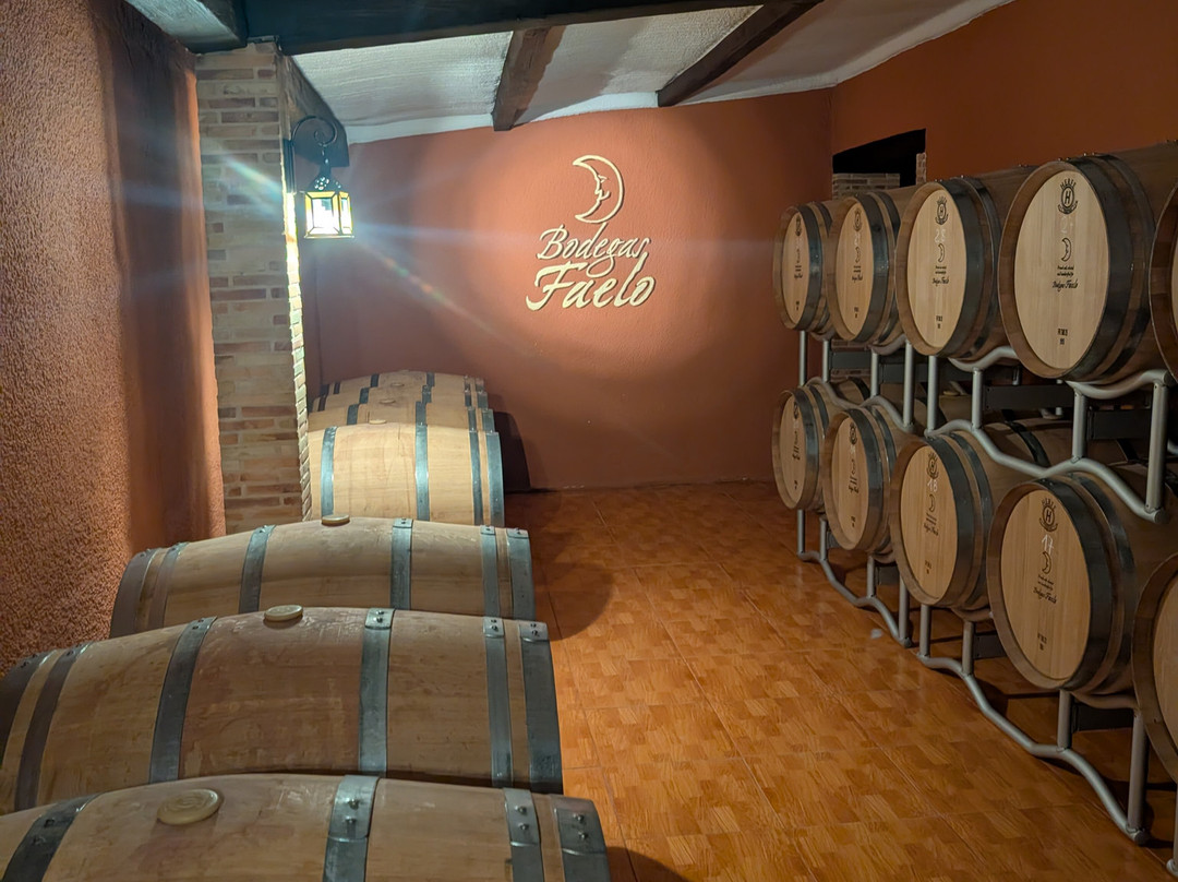Bodegas Faelo-埃尔切必去景点