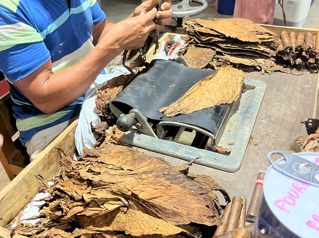 Zemis Tobacco and Cigars Factory-圣地亚哥必去景点