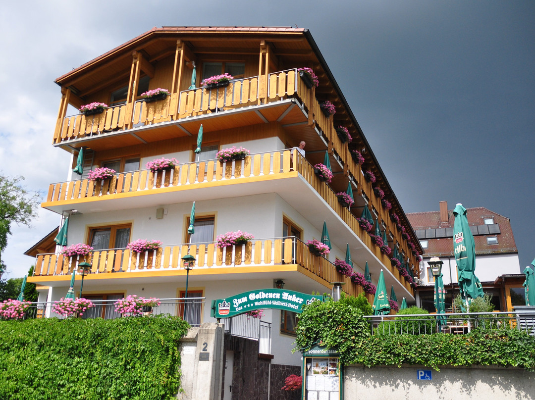 Hotel Zum Goldenen Anker主图