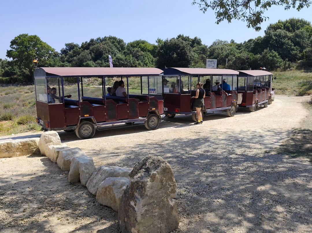 Maison de la Lavande - Domaine Lavandaïs-Saint-Remeze必去景点