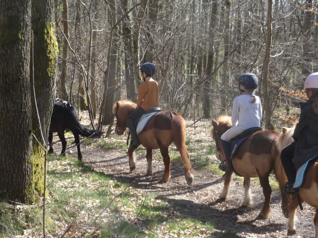 Centre Équestre Licorne De La Fontaine