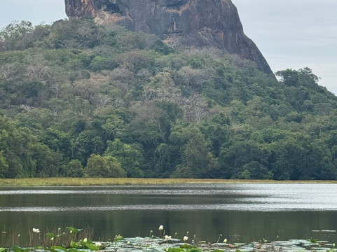 Rangana Tours Sri Lanka-Aluthgama必去景点