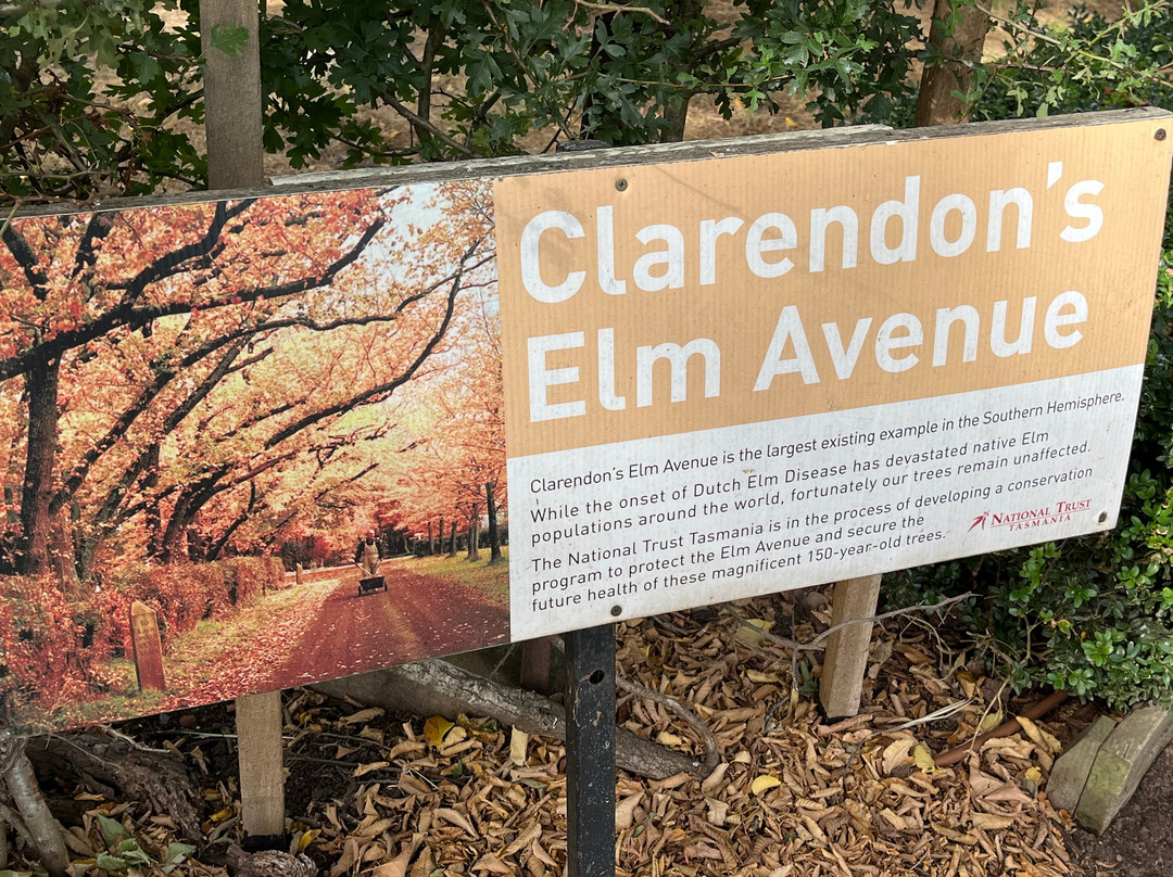 Clarendon Estate-Evandale必去景点