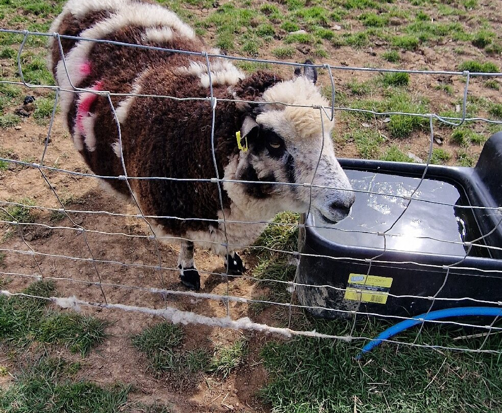 Willhome Farm Barn-Camrose必去景点