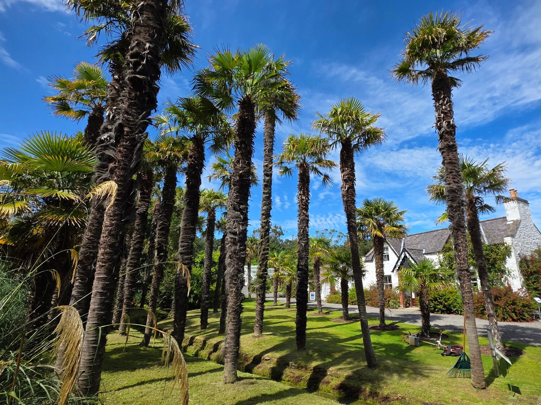 Logan Botanic Garden-Port Logan必去景点