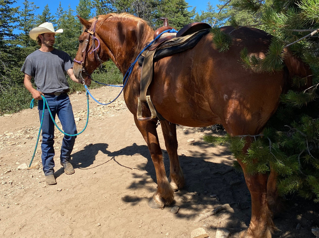 Mountain Horse Adventures-桑德波因特必去景点