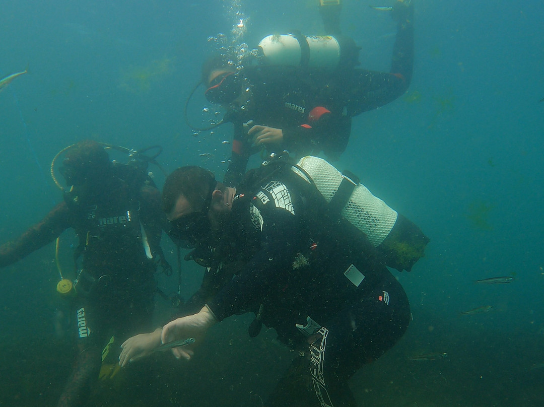 Sub Diving-索佐波尔必去景点