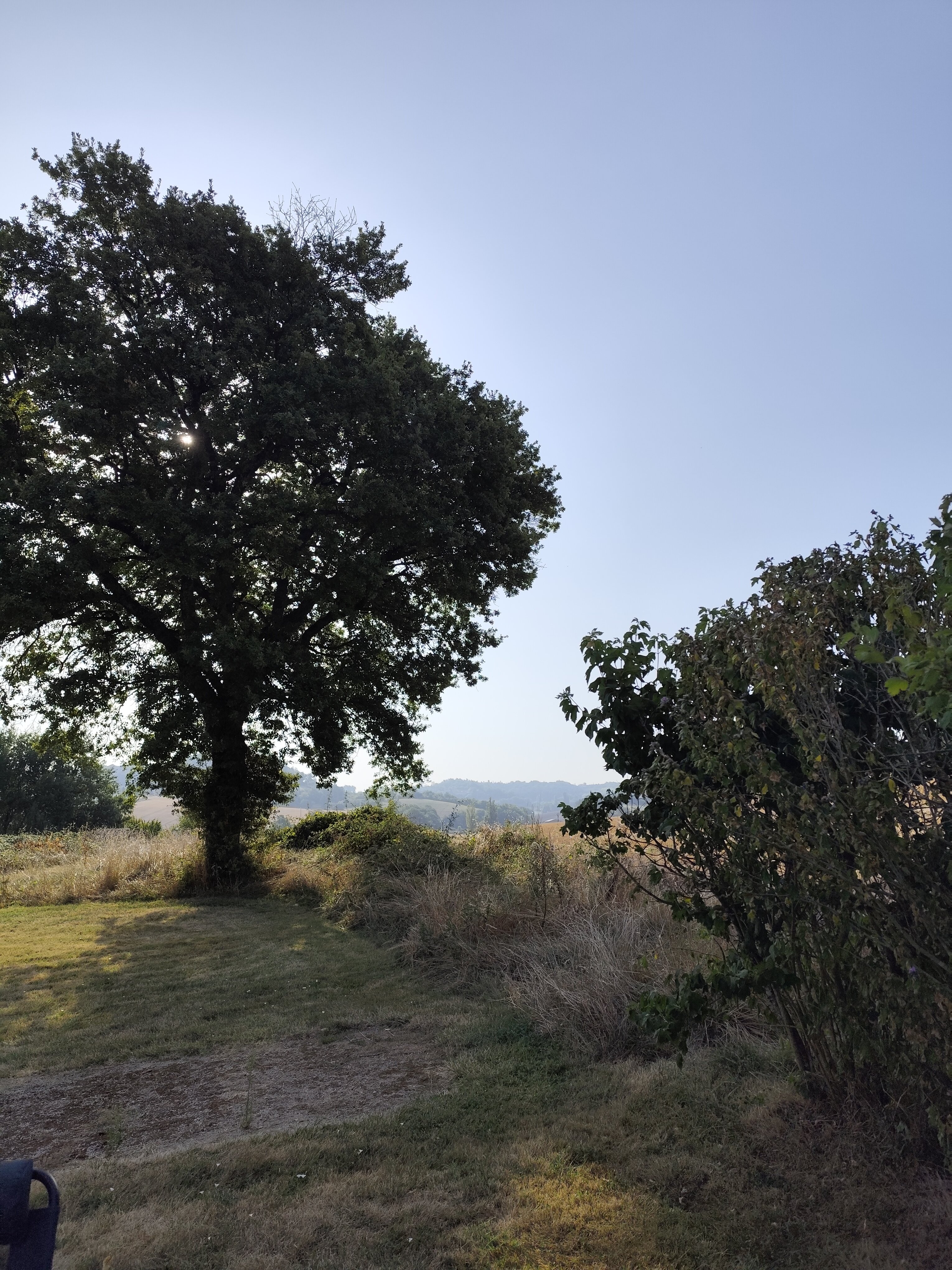 Domaine Les Miquels-官方