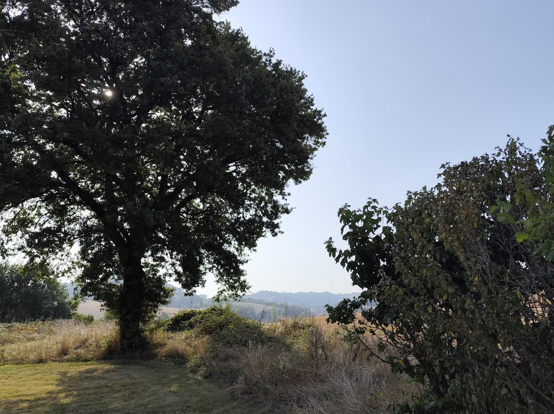 Domaine Les Miquels主图