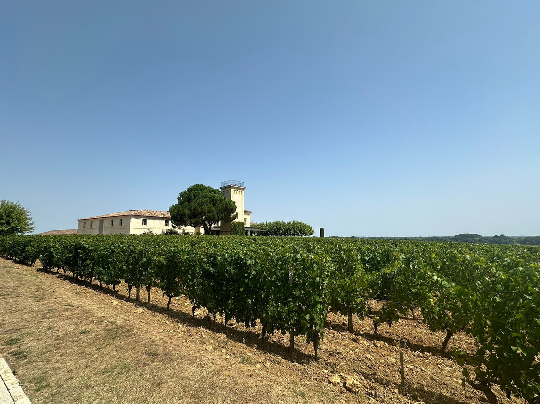 Chateau Troplong Mondot-Saint-Laurent-des-Combes必去景点