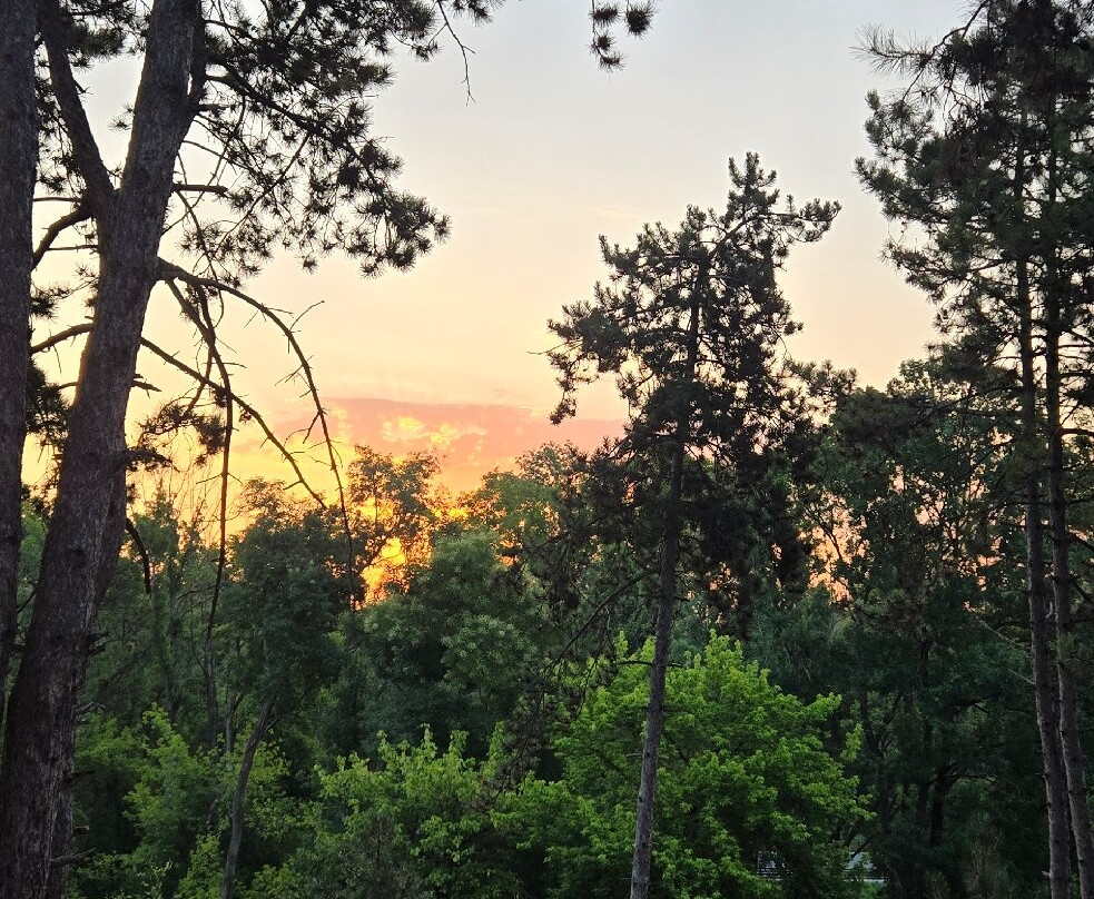 Hotel Borkovac主图