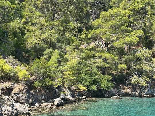 Freddys Daily Boat Trip-费特希耶必去景点