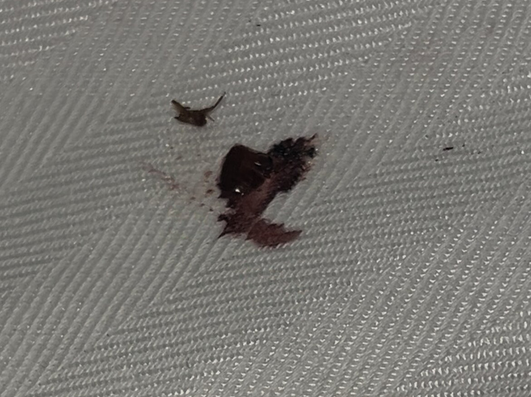 Microtel Inn & Suites by Wyndham Altus主图