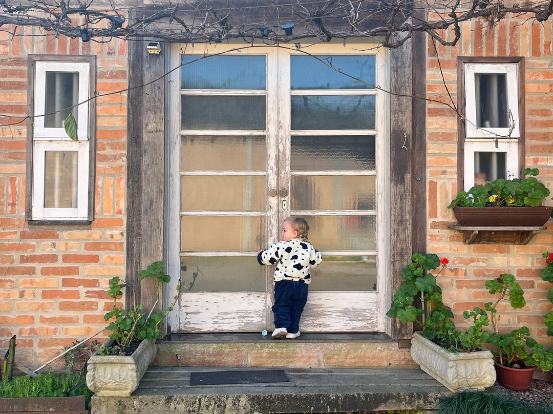 Organovita Familia Orgânica-Garibaldi必去景点