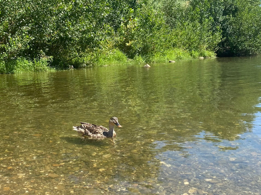 Bayou Canoë-Serignan必去景点