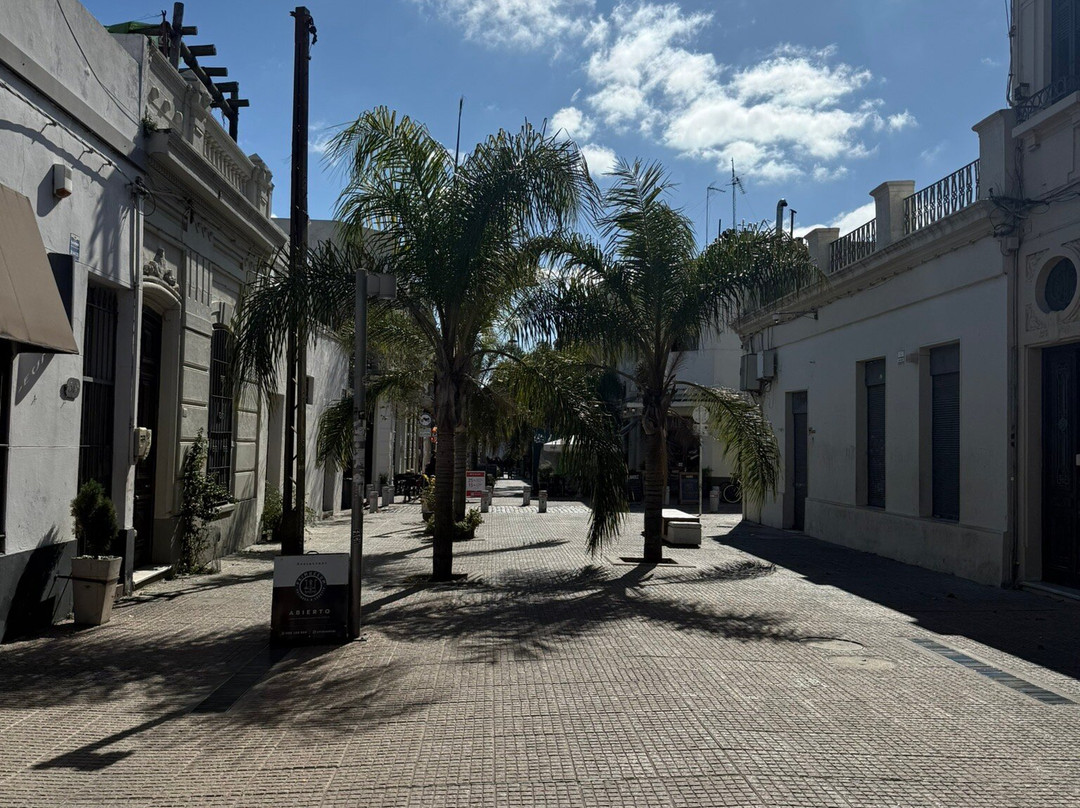 Peatonal Sarandi-蒙得维的亚必去景点