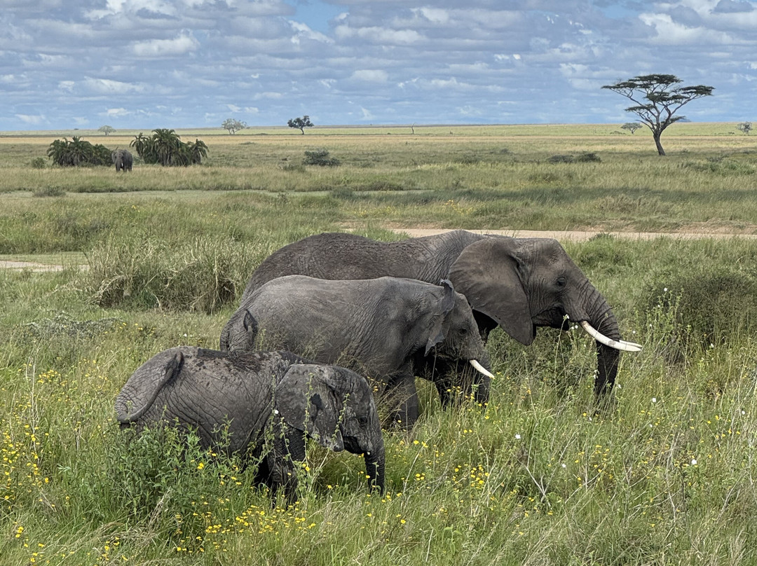 Warrior Trails-阿鲁沙必去景点
