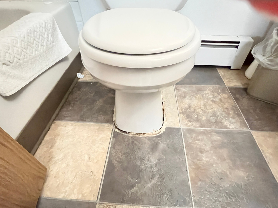 The Alpine Motel主图