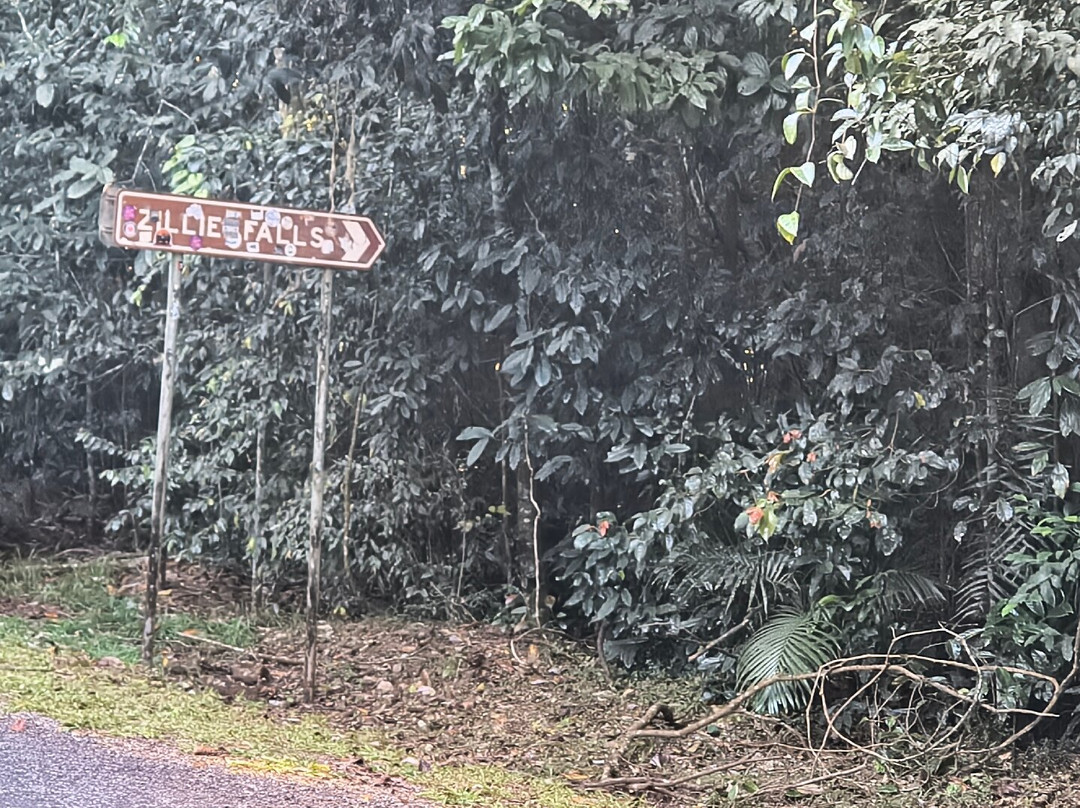 Zillie Falls-Millaa Millaa必去景点