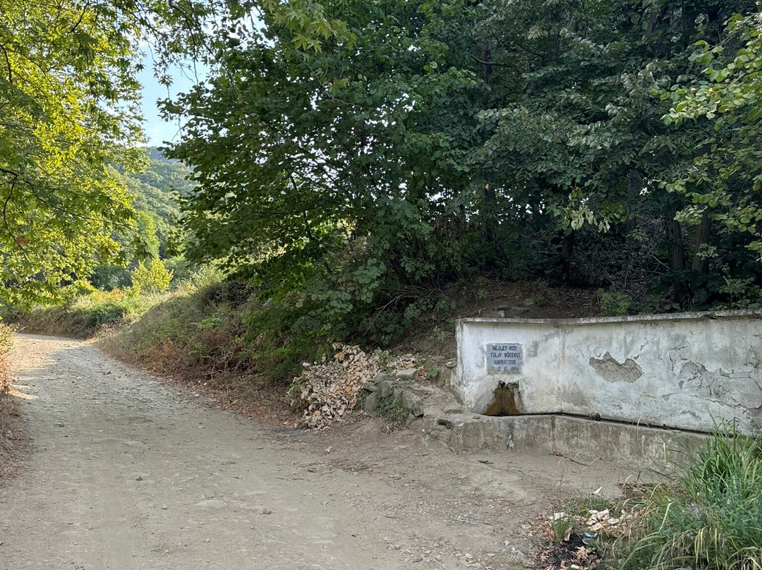 Ganos Yolu-Sarkoy必去景点