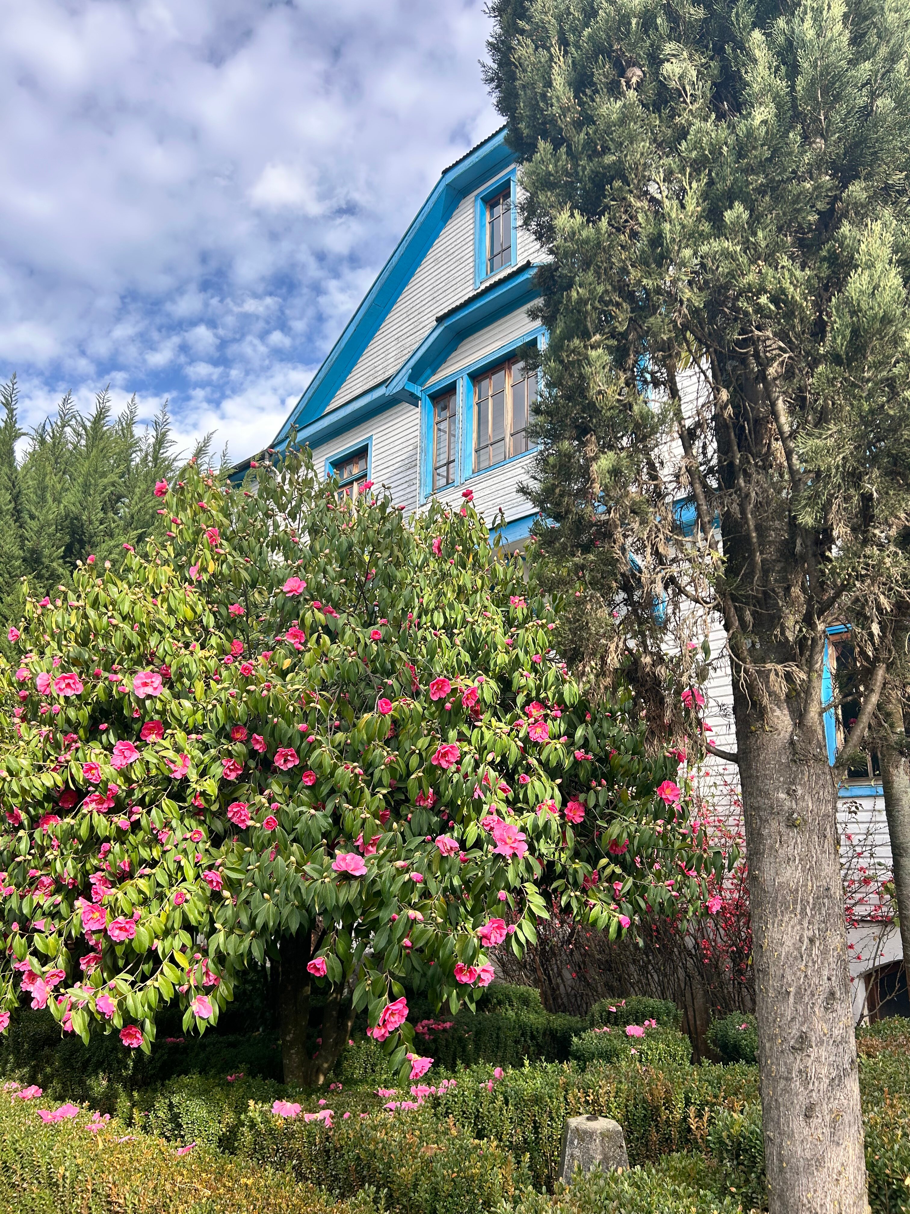 Pietra Santa Hotel & Ristorante-官方