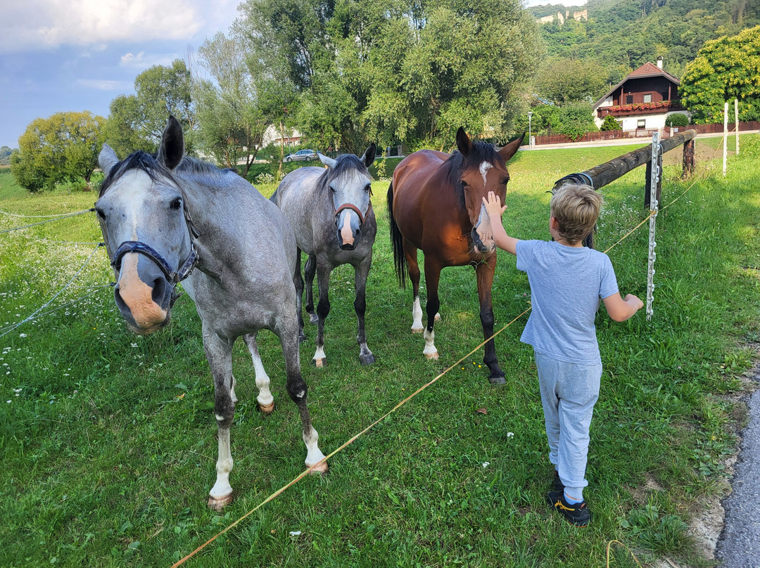 Landgasthof Erber主图