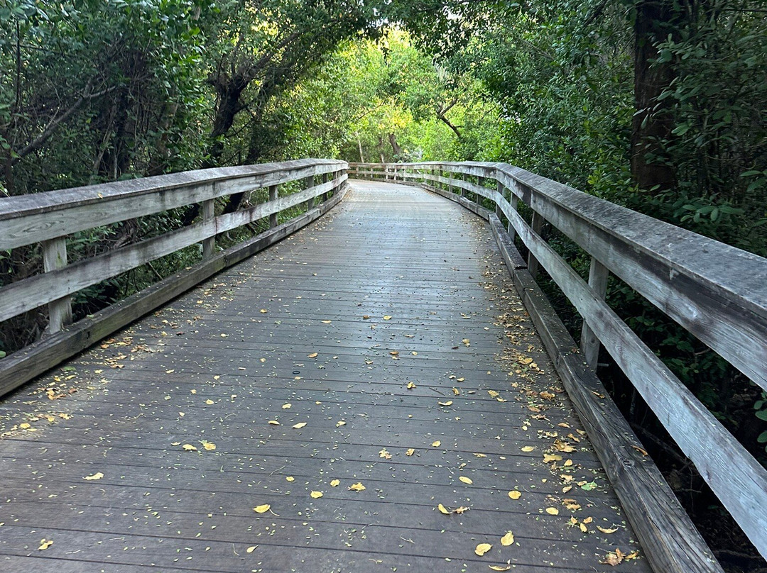 Clam Pass Park-那不勒斯必去景点