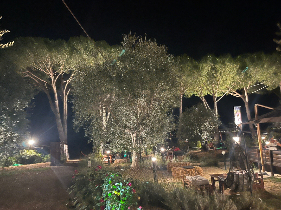 Secret Garden Agribar & Barbeque