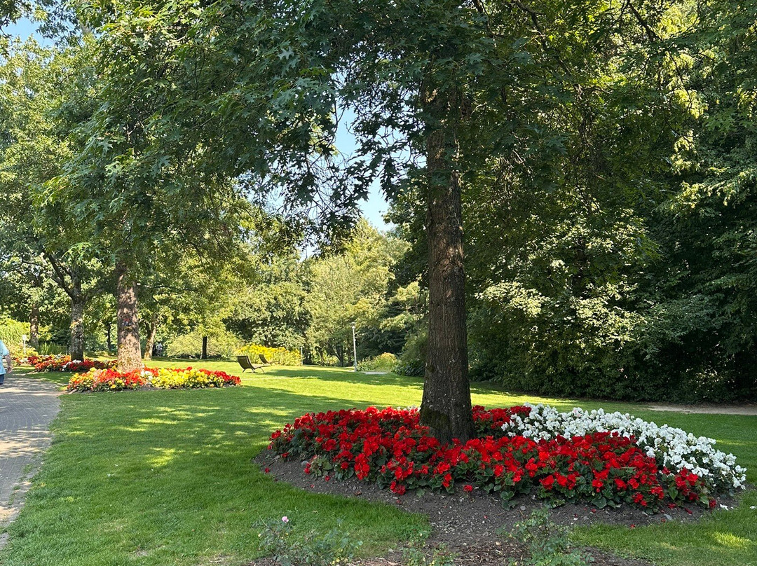 Parkhotel Nümbrecht主图