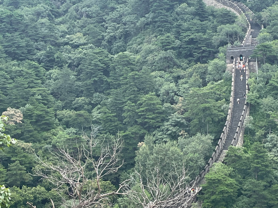 China Tours-西安市必去景点