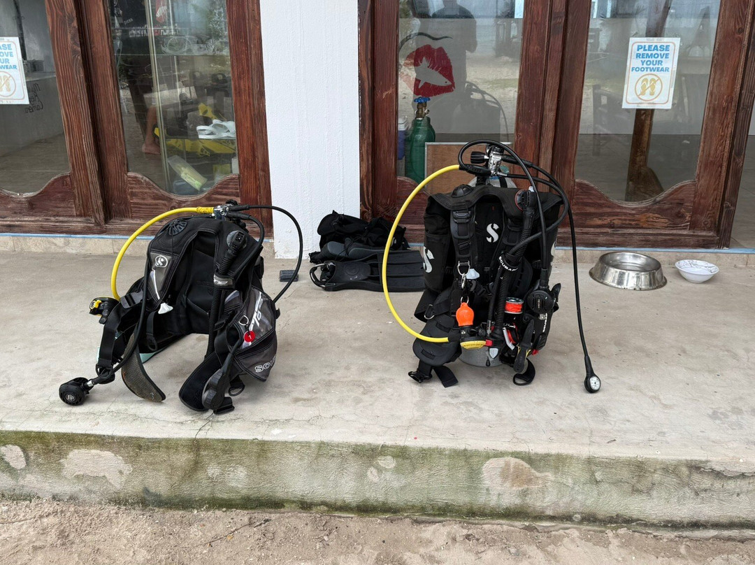 French Kiss Divers-妈妈拍丝瓜岛必去景点