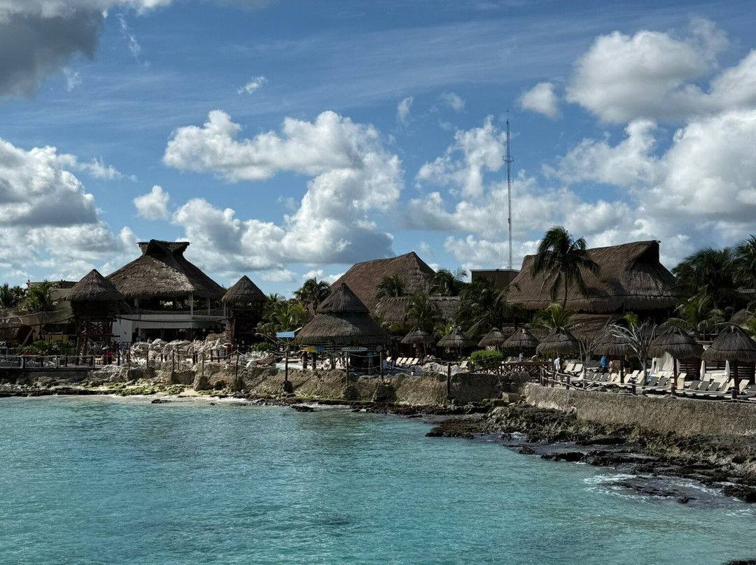 Dolphin Discovery Costa Maya-Mahahual必去景点