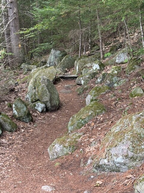 Wellington State Park-Bristol必去景点