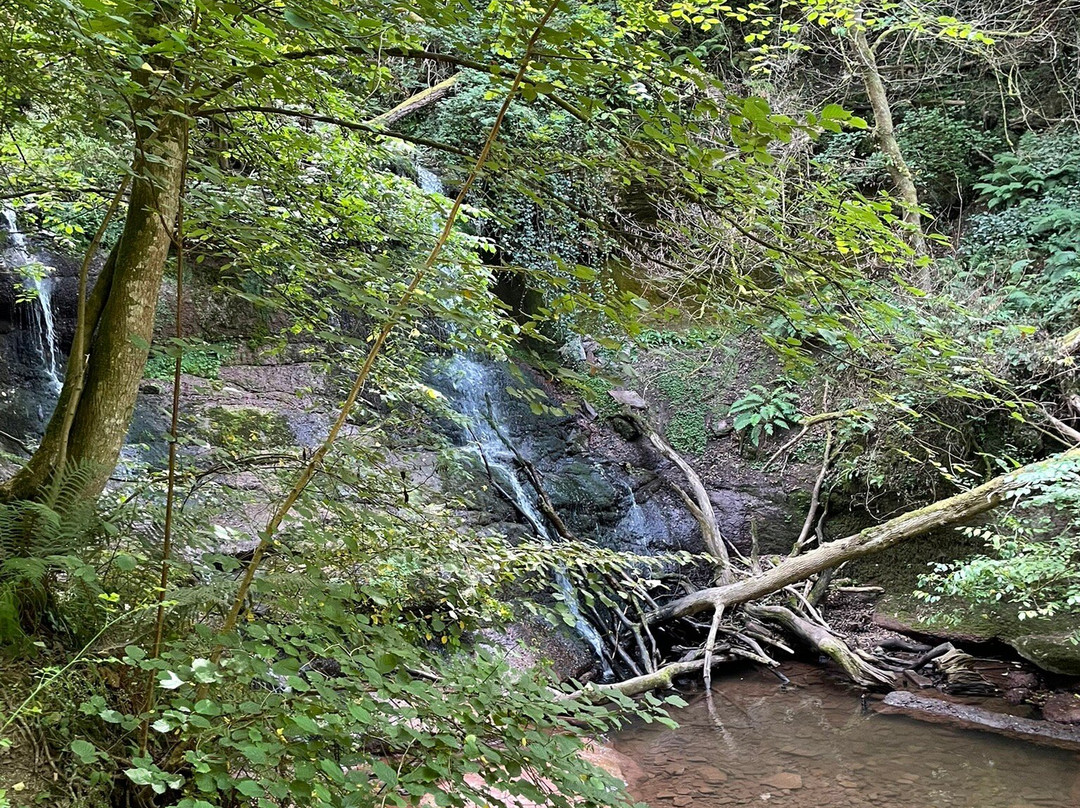 Pwll-y-wrach Nature Reserve-Talgarth必去景点