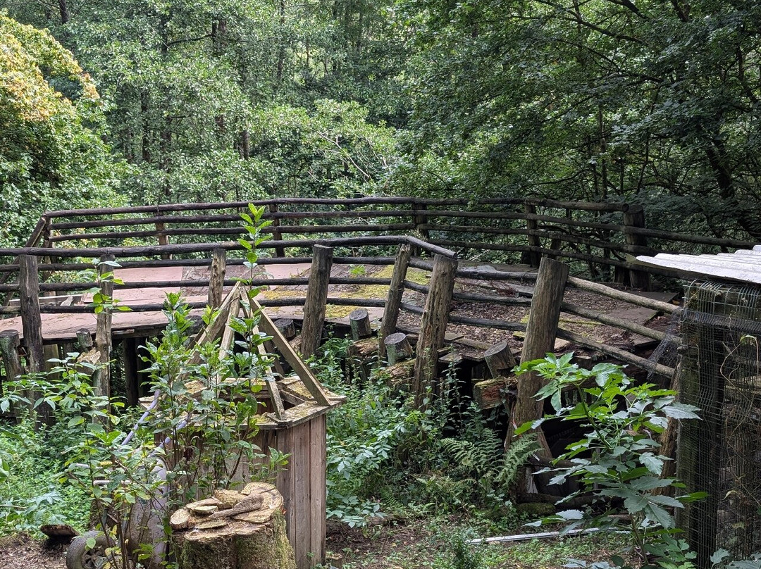 Festival Park Owl Sanctuary-Ebbw Vale必去景点