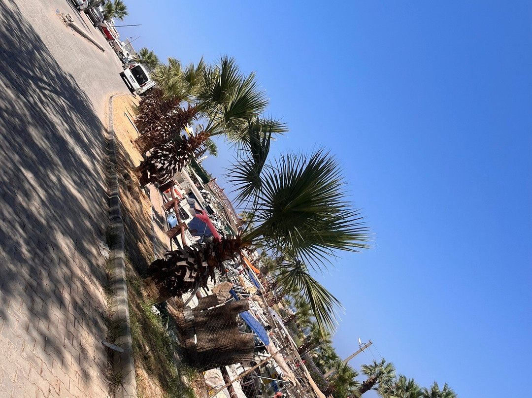 Sevgi Plajı-Davutlar必去景点