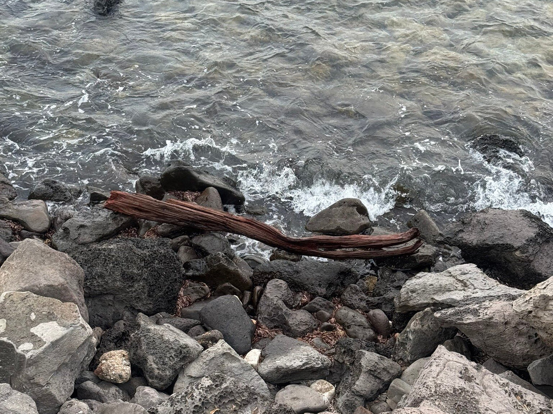Spiaggia di Palmasera-Cala Gonone必去景点