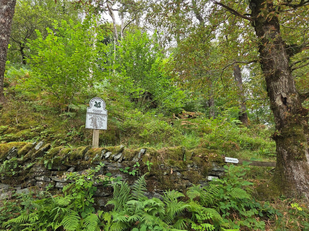 Cathedral Quarry (Cathedral Cave)-Little Langdale必去景点
