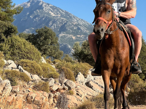 Family Horse Farm-厄吕代尼兹必去景点