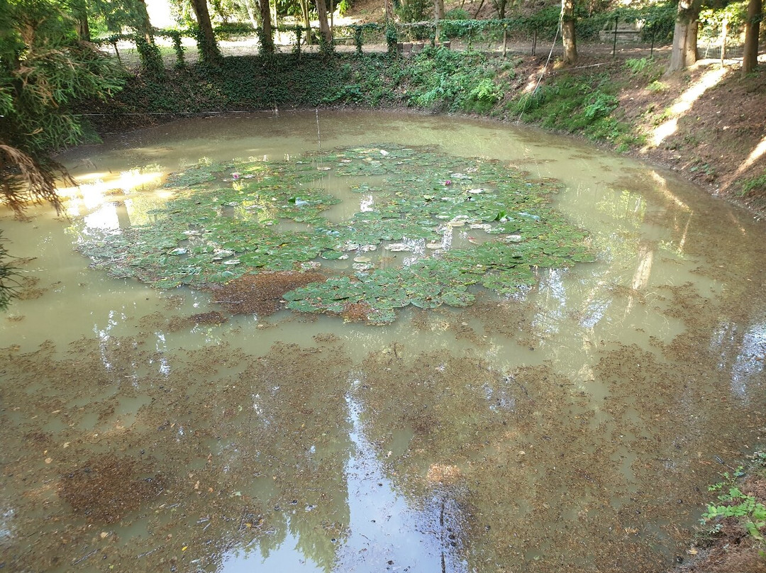 Hotel Villa Cattani Stuart主图